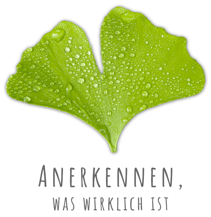 Anerkennen was wirklich ist